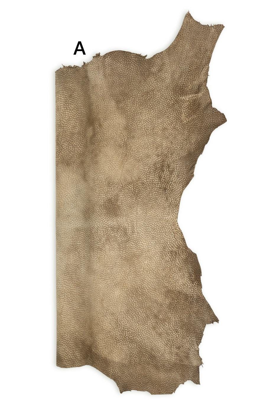 Embossed SUEDE leather skin, GRAINY printed goatskin, soft material in different shades of brown, ideal for crafting B19299-TU La Garzarara