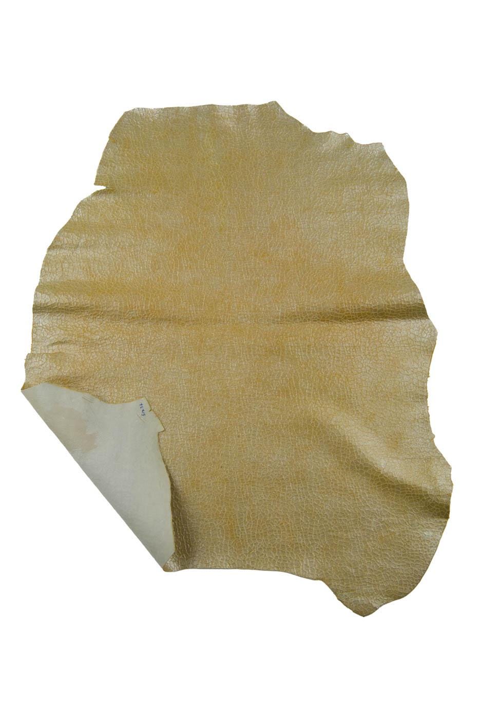 Set of 2 light gold CROCODILE printed leather skins: METALLIC embossed goatskin, glossy soft sparkle hide B19460-MT(st) La Garzarara